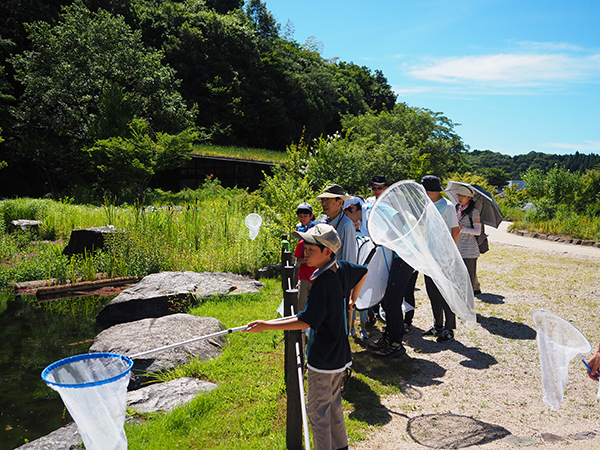 観察会のようす